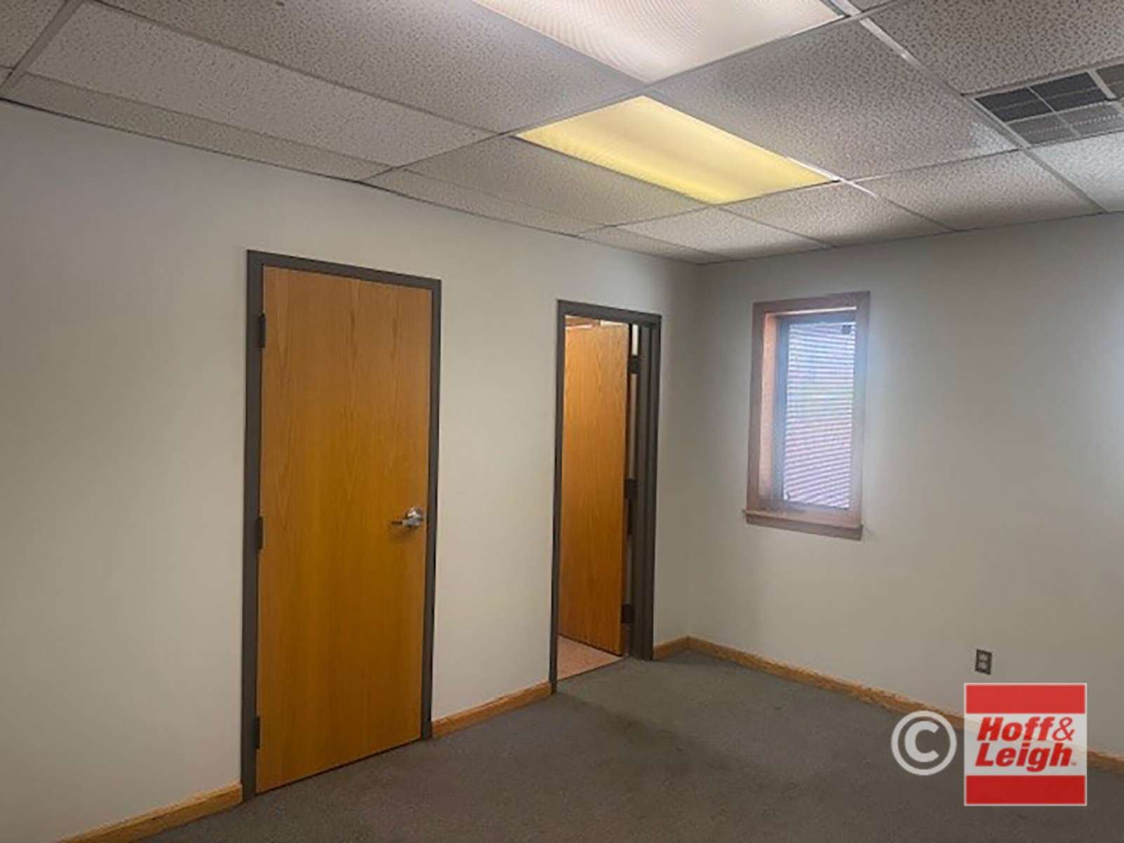 Empty office space with two wooden doors, window, and gray carpet flooring.